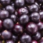 Acai Berry