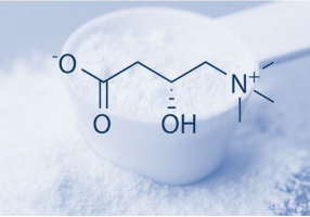 L-Carnitine
