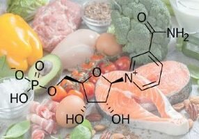 NMN from Food Sources