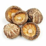 Shiitake Mushroom
